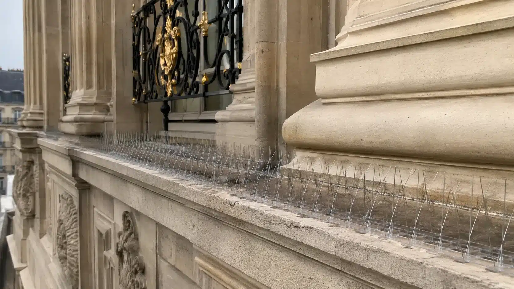 Pics anti-pigeons installés sur la corniche en pierre d'un immeuble haussmannien